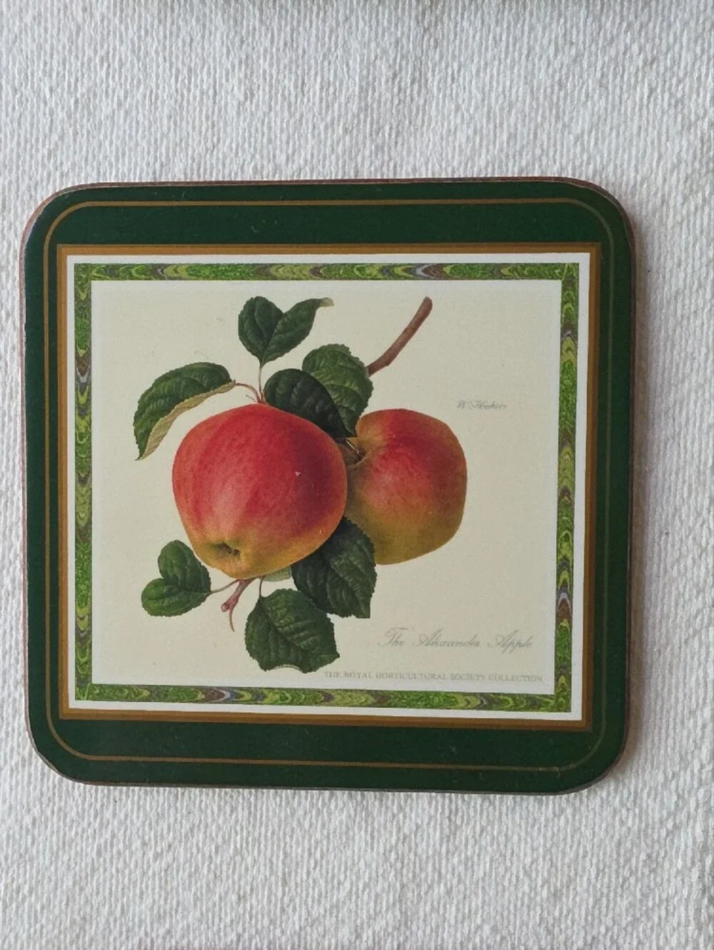 Pimpernel Vintage Botanical Fruit Coaster Set in Green and Cream